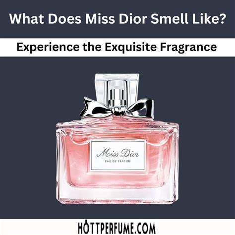 miss dior perform|what does miss dior smell like.